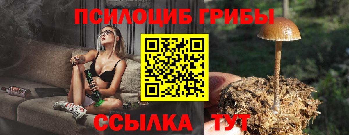 где купить   Галлюциногенные грибы мицелий  Вход с VPN  Тимашёвск 